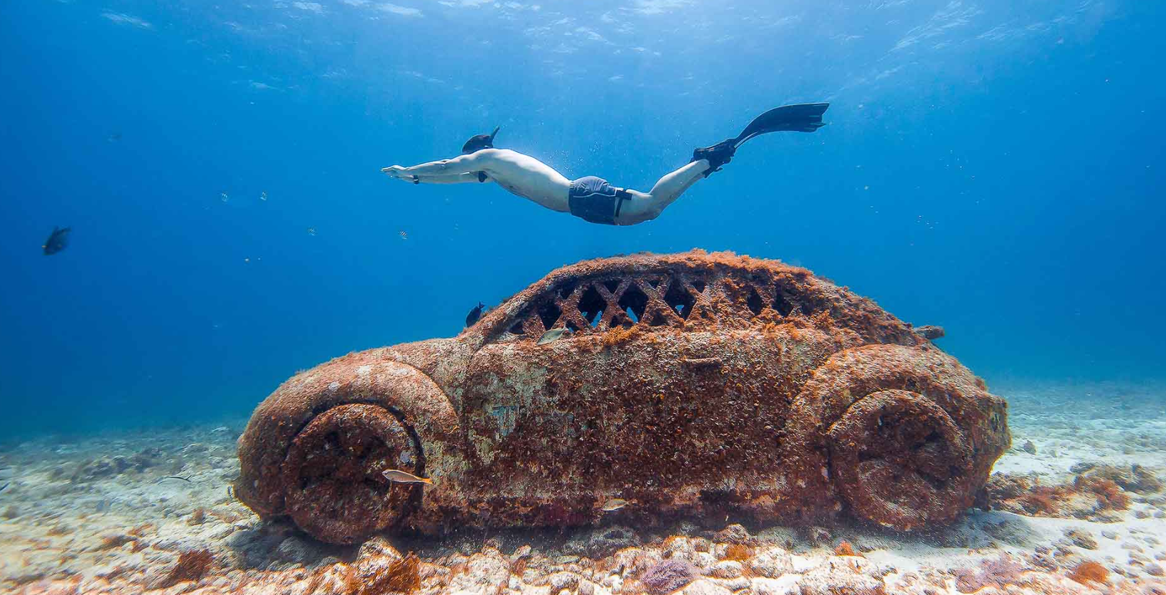 Snorkel en el MUSA